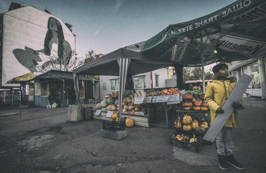 THE MARKET PLACE @ URBAN CREATURES 2016 THE MARKET PLACE @ URBAN CREATURES 2016